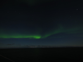 1111-174502-NB110490.JPG