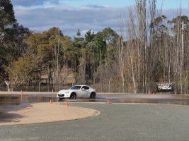 D5183519.JPG