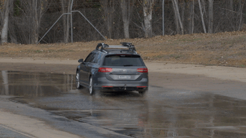 D5184750.MOV