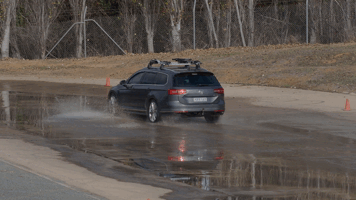 D5184961.MOV