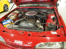 D6080730.JPG
